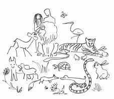 animaux et humains